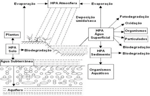 Figura 5 - Mecanismos de transporte de HPAs por diferentes fontes. Adaptado de Ming-Ho  Yu (2005).