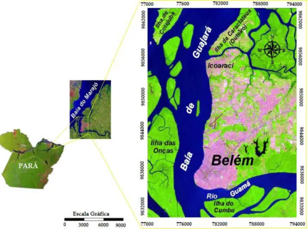 Figura 9  –  Mapa modificado da área de estudo. Fonte: Modificado de Mendes (2005). 