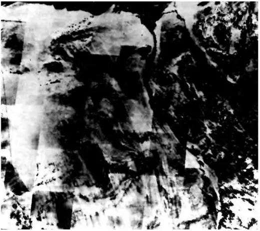 figura 1  O Nilo, fotografado por um satélite Landsat em órbita a 920 km da Terra (do artigo de Farouk  El-Baz, “Le Courrier de l’Unesco”, jul