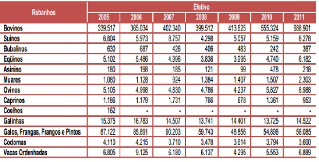 Tabela  1. Principais Rebanhos existentes em Altamira  ano  2005-2011  