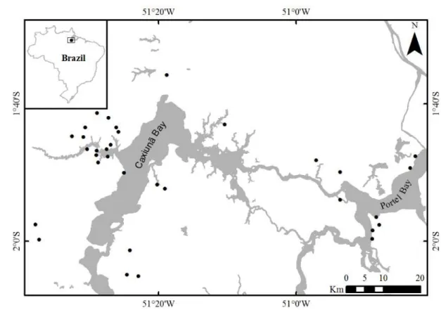 Fig. 1 Map of the study area showing the stream locations of sampled sites at Caxiuanã Bay and Portel  Bay, Pará, Brazil
