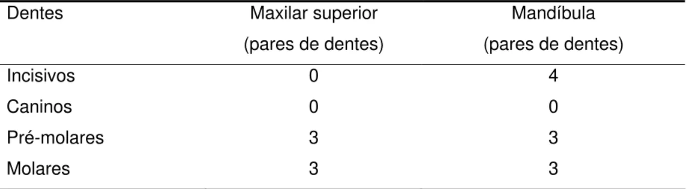 Tabela 2 - Fórmula dentária de bovinos e bubalinos da dentição permanente 