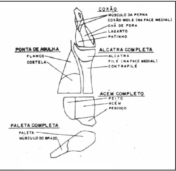 Figura 4 - Cortes primários e secundários - adaptado de Felício et al. (1979) 