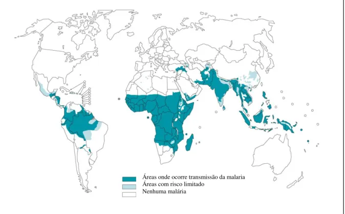 Figura 01: Distribuição global do risco de transmissão da malária, 2006. 