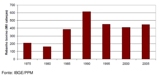 Gráfico 2 - Evolução do rebanho bovino de Paragominas, no período de 1975 a 2005