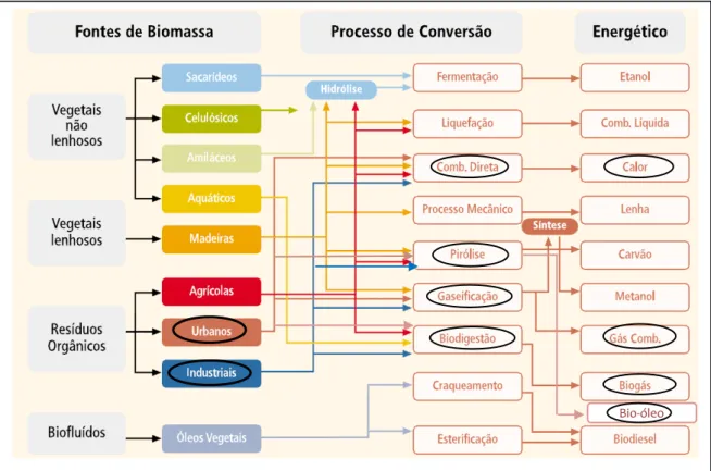 Figura 2- Diagrama esquemático dos processos de conversão energética da biomassa 