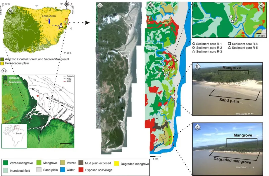 Figure 1 –  Location of the study area: a) Sea water salinity, Amazon River plume and North Brazil Current (Santos et al., 2008), b) Marajó  Island; c) Soure coastal plain; d) vegetation units; e) sampling site on Soure coastal plain; f) mangrove and sand 