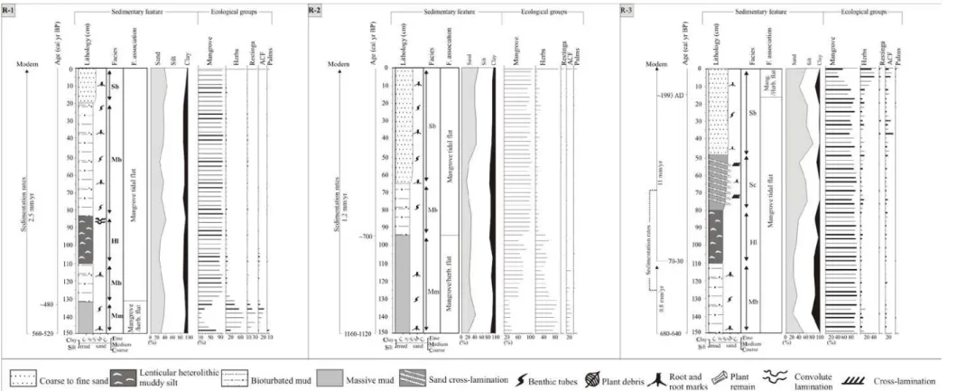 Figure 2 – Sediment profile with sedimentary features and ecological groups from cores R-1, R-2 and R-3