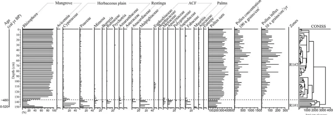 Figure 4 – Pollen record from core R-1 with percentages of the most frequent pollen taxa and sample age
