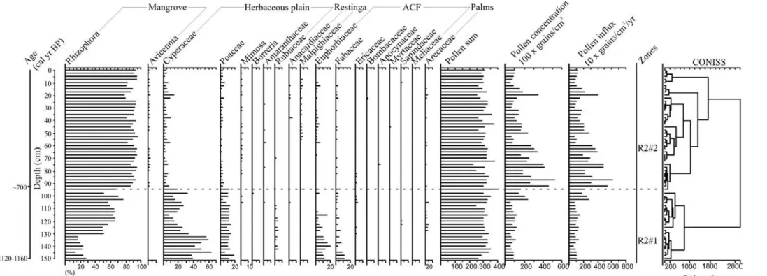 Figure 5 – Pollen record from core R-2 with percentages of the most frequent pollen taxa and sample age