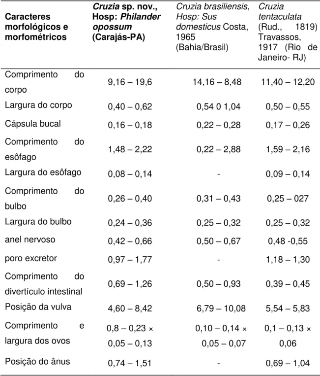 Tabela 3: Comparação entre os dados morfométricos e morfológicos do espécime  fêmea  de  Cruzia  sp