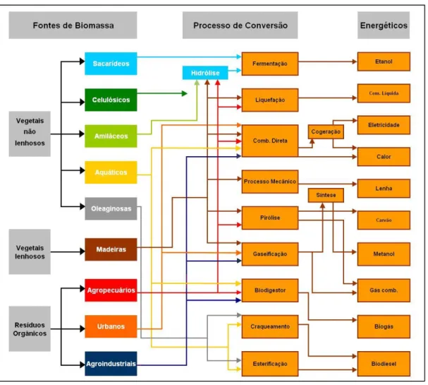 Figura 1 - Aproveitamento energético da biomassa. 