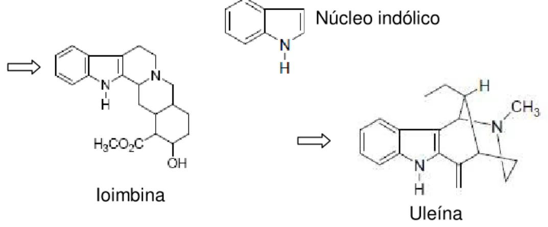 Figura 3 - Ioimbina e uleína com destaque para o núcleo indólico. 