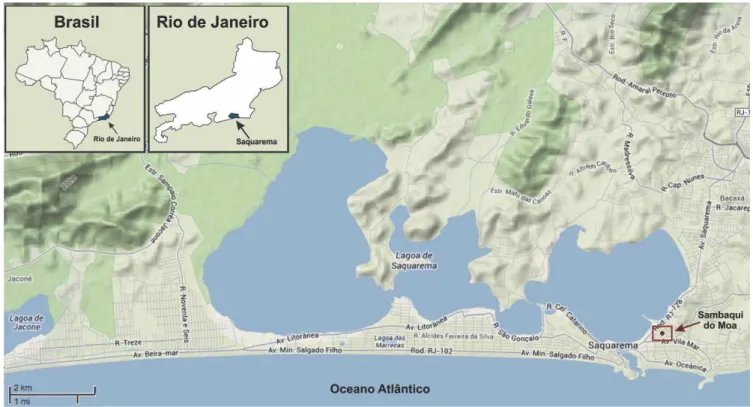 Figura 1: Localização do sambaqui do Moa (Saquarema-RJ). 