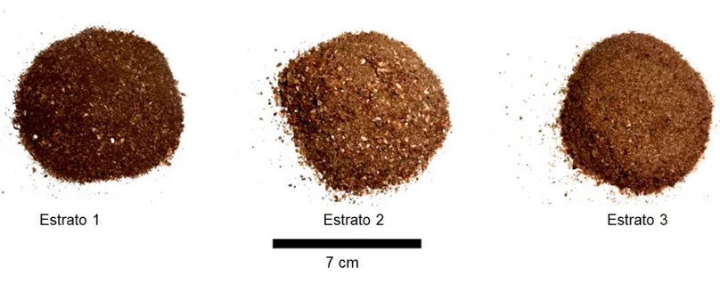Figura 5: Amostras de sedimentos representativas dos três estratos do sambaqui do Moa