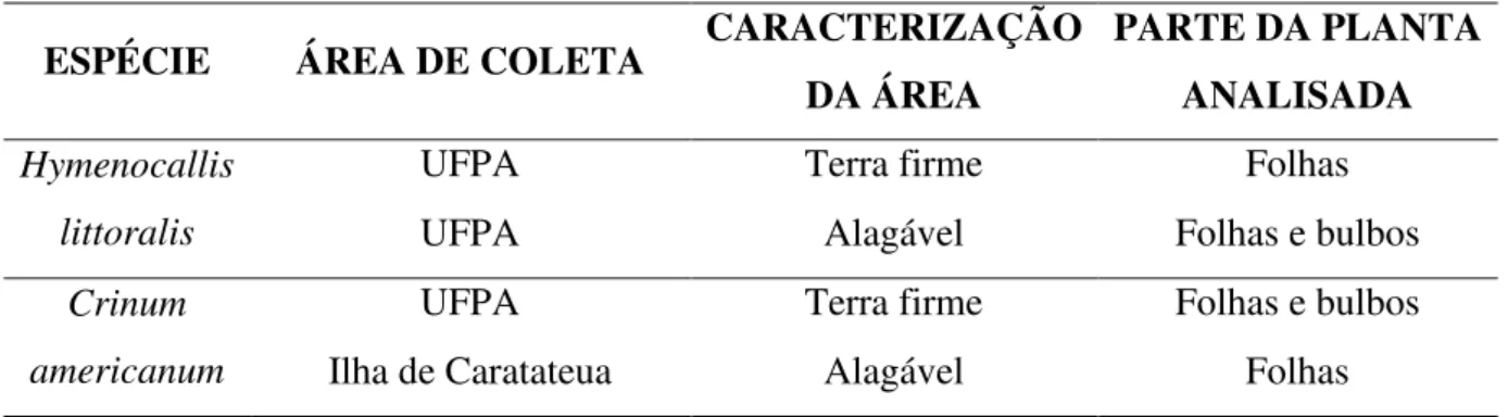 Tabela 1: Áreas de coleta de Crinum americanum L e Hymenocallis littoralis (Jacq.) Salisb