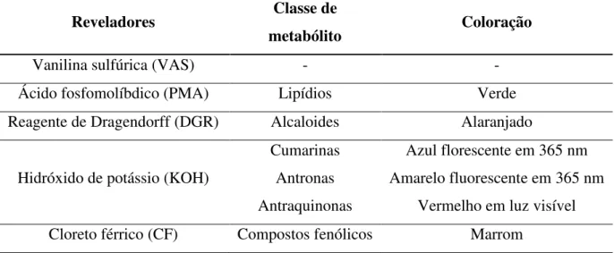 Tabela  3:  Reveladores  utilizados  para  a  detecção  de  metabólitos  nos  extratos  fúngicos  e  vegetais  