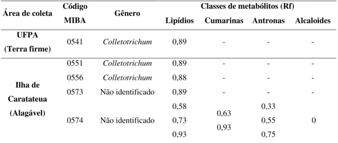 Tabela 5: Classes de metabólitos produzidos pelos fungos endofíticos isolados das folhas de  Crinum americanum L