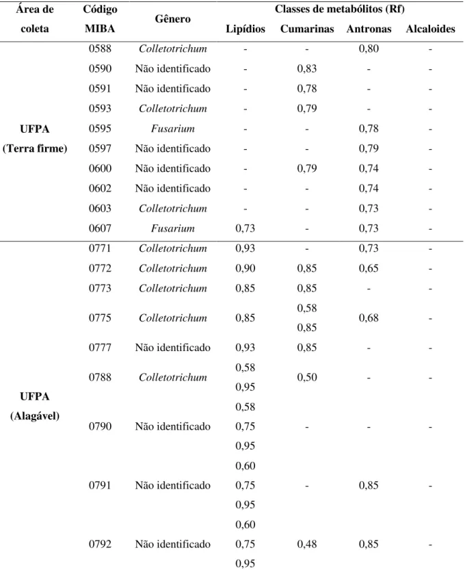 Tabela 7: Classes de metabólitos produzidos pelos fungos endofíticos isolados das folhas de  Hymenocallis littoralis (Jacq.) Salisb