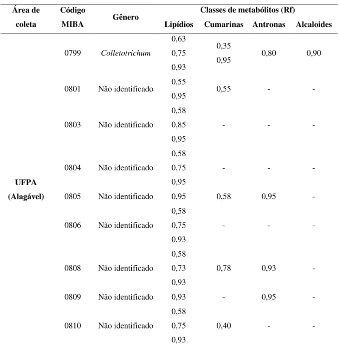 Tabela 8: Classes de metabólitos produzidos pelos fungos endofíticos isolados dos bulbos de  Hymenocallis littoralis (Jacq.) Salisb