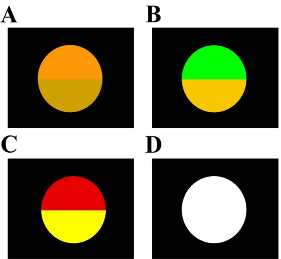 Figura 7.  Modelo representativo dos estímulos apresentados pelo anomaloscópio HMC. (A),  (B)  e  (C)  Estímulos  circulares  bipartidos  em  diversas  faixas  de  mistura  de  luzes  e  luz  de  referência  e  (D)  Estímulo  neutro  projetado  para  evita