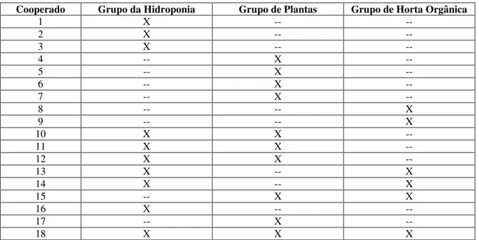 Tabela 2- Integração dos cooperados nos grupos da cooperativa 
