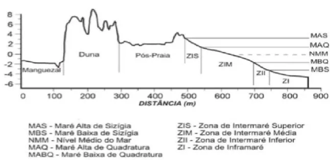 Figura 4. Perfil geral das zonas de pós-praia, intermaré e inframaré (Souza Filho et al., 2003)