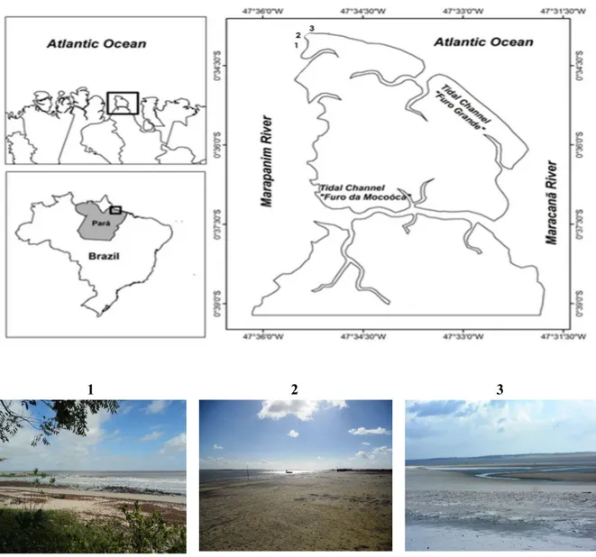 Figura 6. Localização e fotos das praias estudadas (1. Caixa d’Água , 2. Farol  e 3. Princesa ) na Ilha  de Algodoal (Maracanã-PA) (mapa adapatado de Ataíde et al., 2014) e fotos de Thuareag dos Santos.