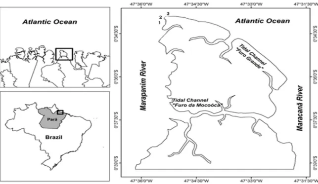 Figura 1.1. Localização das praias estudadas na Ilha de Algodoal (PA): 1. Caixa d’Água 2
