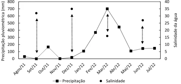 Figura 1.4. Precipitação pluviométrica e salinidade da água nas praias da Ilha de Algodoal (PA), entre  agosto de 2011 e julho de 2012