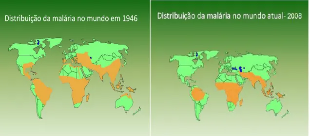 Figura 2 - Comparação da distribuição da malária no mundo em dois períodos distintos                   (1946 e 2008) 