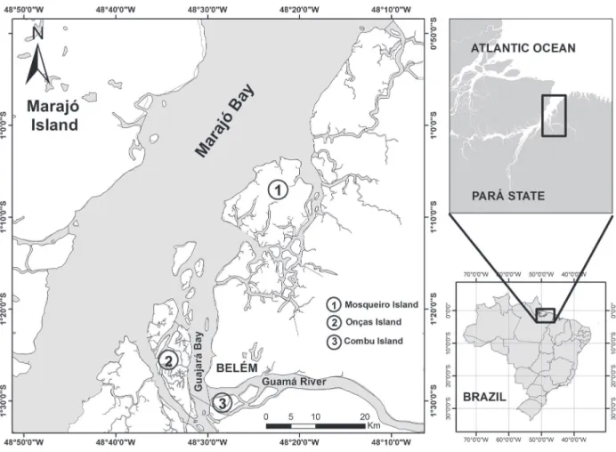 Figure 1 - Location map of study area in the mouth of the Guamá River, and Guajará and Marajó Bays, its adjacent islands: (1)  Combu; (2) Onças and (3) Mosqueiro, Amazon Estuary, northern Brazil.