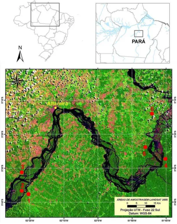 Figura 2. Imagem da área de estudo, trecho do rio Xingu (LANDSAT 2005). Pontos de coleta  (1) Tapuama, (2) Ilha Grande, (3) Agropecuária WR, (4) Caracol, (5) Bom Jardim, (6)  Travessão do km 55