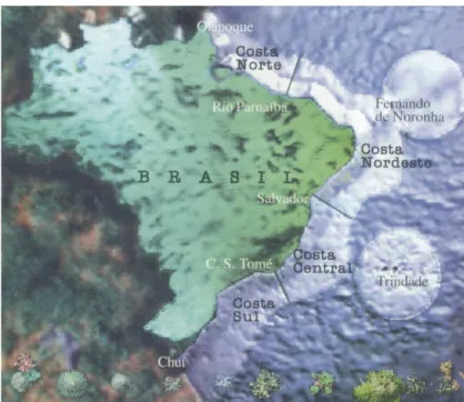 Figura 01 – Divisão da Zona Econômica Exclusiva Brasileira em quatro regiões. 