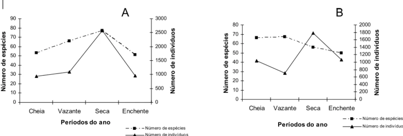 Figura 6: Número de espécies e indivíduos de peixes capturados durante os meses de  coleta – julho (Vazante) e outubro (Seca) de 2006 e janeiro (Enchente) e abril (Cheia)  de 2007) - no lago Curiquara (A) e no lago Aramanaí (B) – Baixo Amazonas - PA