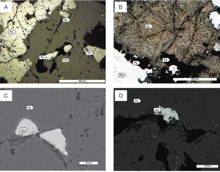 Figura 8. Minerais de minério do depósito Tocantinzinho: fotomicrografias (A e B) e imagens de elétrons retoespalhados  obtidas por microscopia eletrônica de varredura  (C e D)