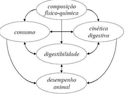 Figura  3  -  Interdependência  de  fatores  nutricionais  que  interferem  no  desempenho  animal