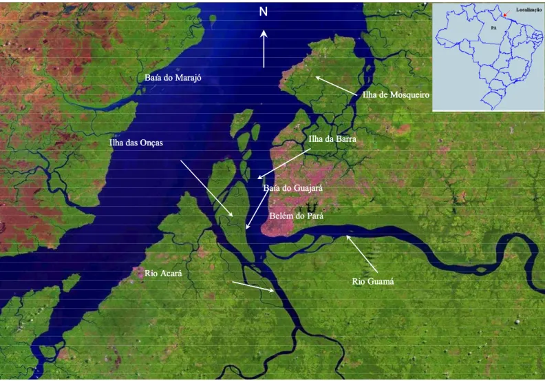 Figura 1.1 – Localização geográfica da região de estudo Baia do Guajará Escala Fonte: 