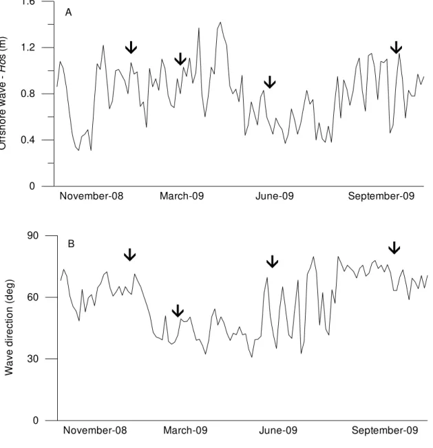 Figure 5. Offshore wave data. The arrows ( ↑ ) indicate the days on which data were collected  in the present study