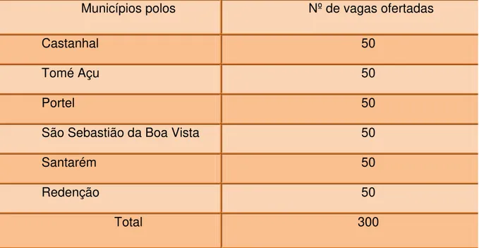 Tabela 02: Municípios polos atendidos pelo PROCAMPO/IFPA em 2010 