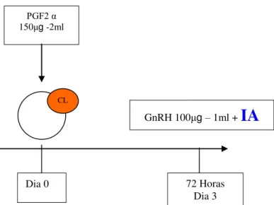 Figura 4  –  Esquematização do protocolo Cl-synch utilizado em 208 búfalas mestiças lactantes  criadas em condições extensivas