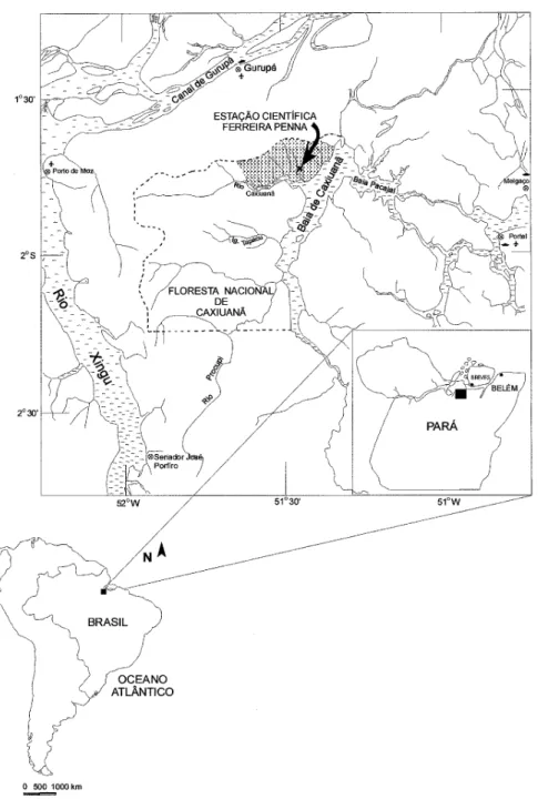 Figura 1. mapa da FLONA de Caxiuanã com localização da ECFPn. Fonte: Lisboa, 2002 