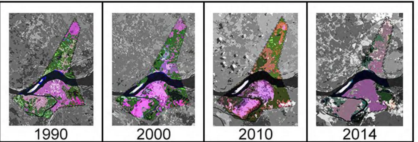 Fig. 23 – Involução da cobertura vegetal na cidade de marabá de 1990 a 2014.  Fonte: imagens de satélite: 