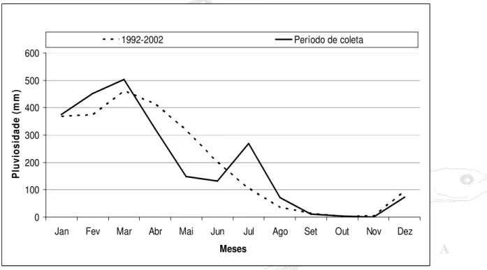 Figura 05 – Variação da pluviosidade média mensal no período de 1992 a 2004  e no período de estudo no município de Curuçá