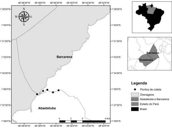 Figura 1. Área de estudo, com os pontos de coleta no rio Arienga, estuário amazônico. 