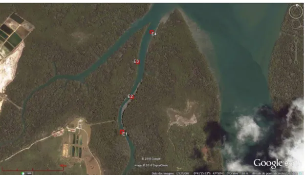 Figura  5.  Localização  das  estações  de  observação,  ao  longo  do  rio  Curuperé