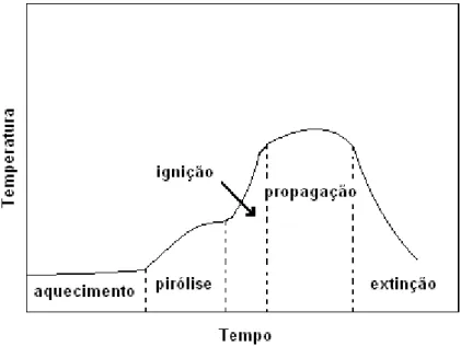 Figura 2.8  –  representação esquemática dos estágios de             combustão (GALLO; AGNELLI, 1998) 