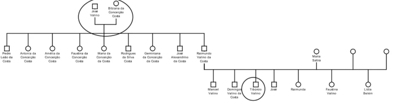 Figura 10. Arvore genealógica de José Valino e Bibiana com descendente no sítio Santo Antonio &gt; 3 : ! 4 4 3 4 5 4 0 4 ( 9 4 &gt; 3B : 0 0 : ? (: 2 !C: &gt; 3 5 : @ 3