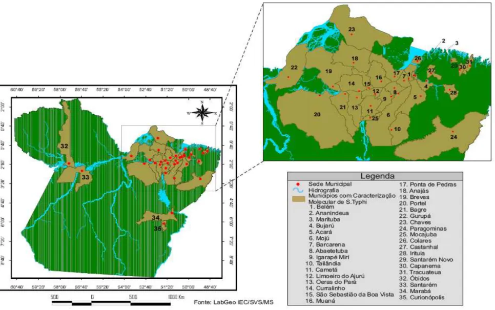 Figura 3 - Estado do Pará com destaque para os 35 municípios investigados neste estudo