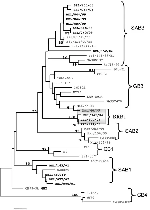 Figura 10: Árvore Filogenética da sequência parcial do gene codificador da proteína  G dos VRS do subgrupo B